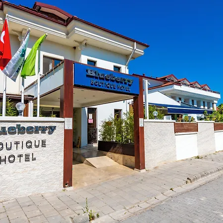 Blueberry Boutique Hotel