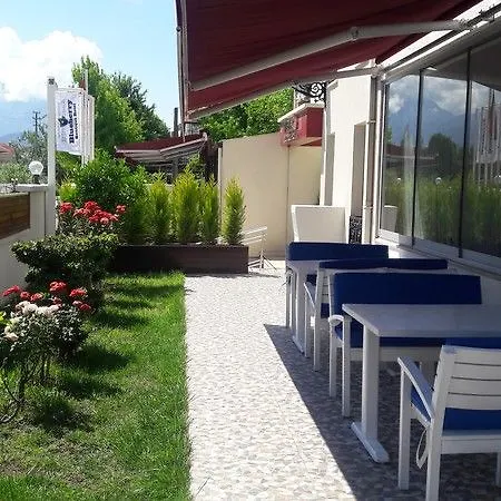 Hotel Blueberry Boutique 4*