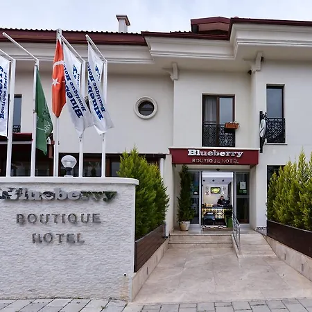 Hotel Blueberry Boutique Fethiye