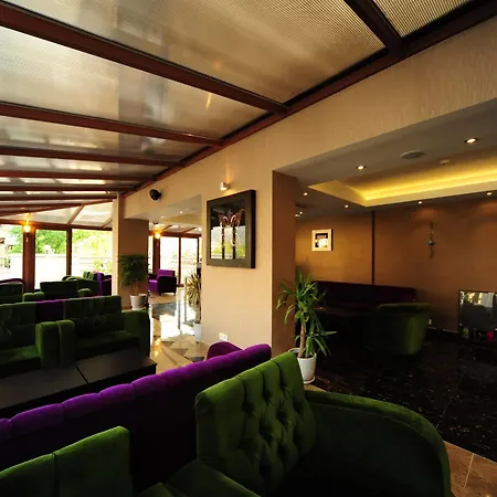 Hotel Blueberry Boutique 4*