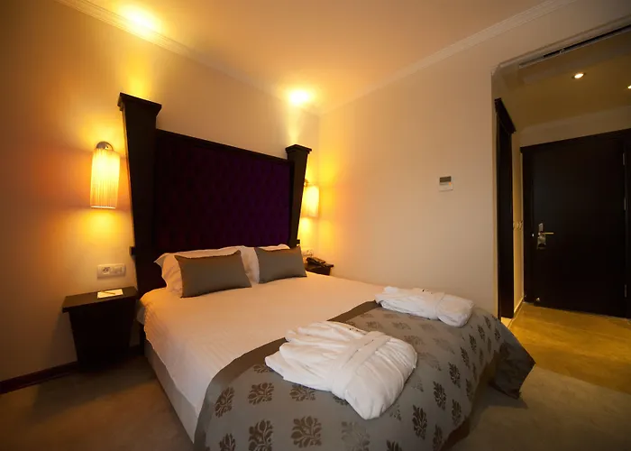 Blueberry Boutique Hotel 4*