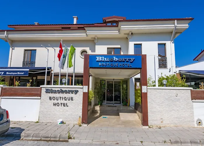 Hotel Blueberry Boutique 4*