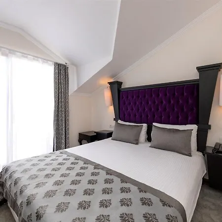 Blueberry Boutique Hotel