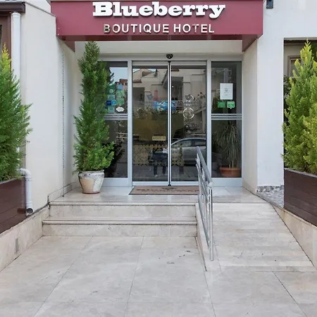 Blueberry Boutique フェティエ