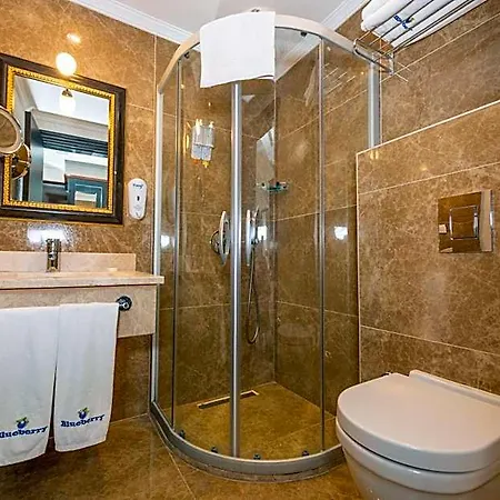 Hotel Blueberry Boutique 4*
