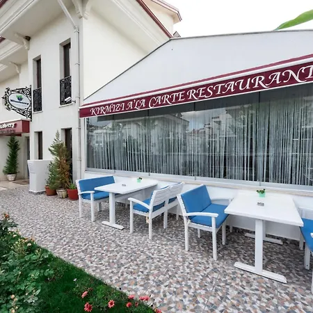 Blueberry Boutique Hotell