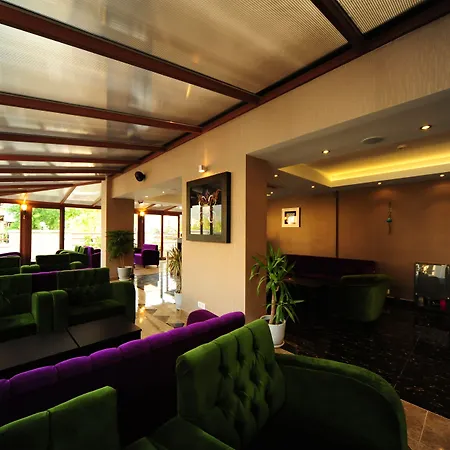 Hotell Blueberry Boutique