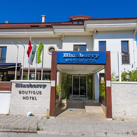 Hotell Blueberry Boutique 4*