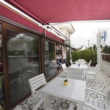 Hotell Blueberry Boutique